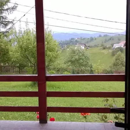 Daneluta Pensiune