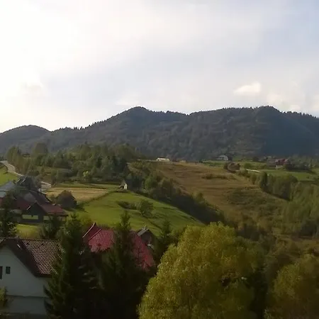 Daneluta *