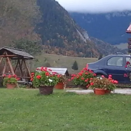 Daneluta *