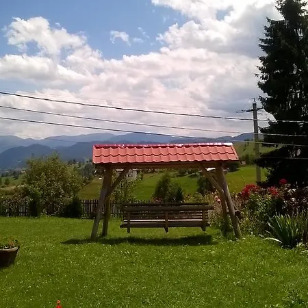 Daneluta Pensiune *