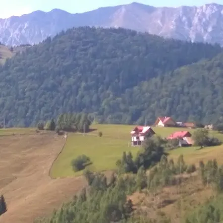 Pensiune Daneluta Peştera