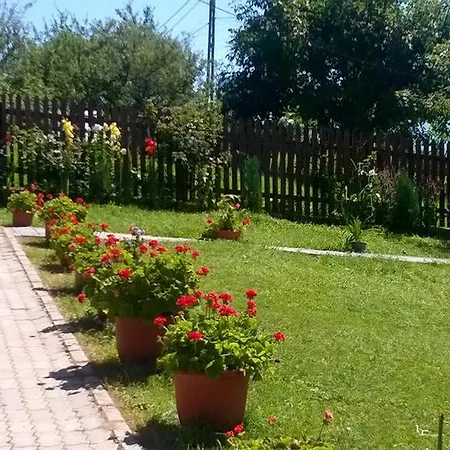 Daneluta * Peştera